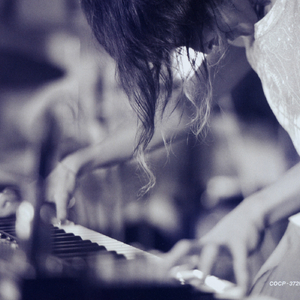 derpxion作者官方网站
