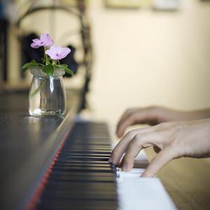 derpxion作者官方网站
